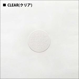RIPCURL リップカール ステッカー WE...の詳細画像1