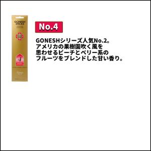 GONESH ガーネッシュ 芳香剤 20 ST...の詳細画像2