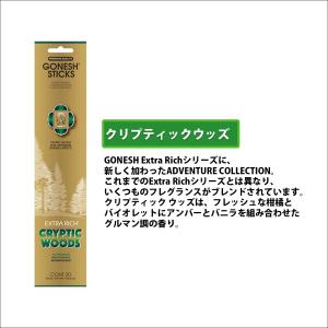 GONESH ガーネッシュ 芳香剤 20 ST...の詳細画像4