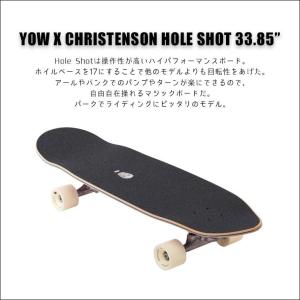 YOW SURF SKATE ヤウ スケートボ...の詳細画像1