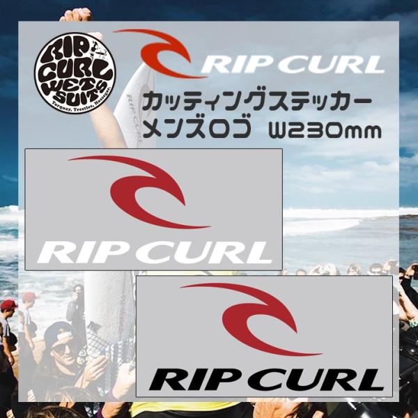 RIPCURL リップカール ステッカー メンズロゴステッカー サーフィン シール W230mm 品...