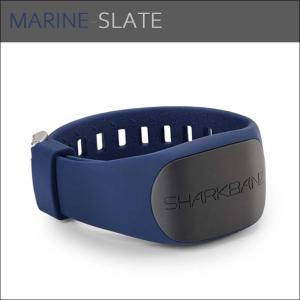 SHARKBANZ2 シャークバンズ2 鮫 さ...の詳細画像5