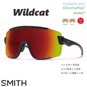 23 SMITH スミス サングラス Pinpoint マット フレーム 釣り 海 自転車 