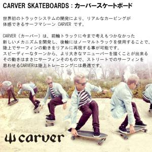 CARVER カーバー スケートボード Sun...の詳細画像3