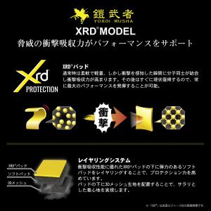 2026年10月上旬〜11月上旬出荷 予約 2...の詳細画像1