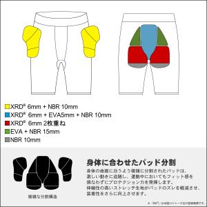 2026年10月上旬〜11月上旬出荷 予約 2...の詳細画像2