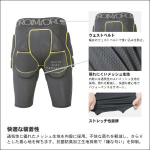 2026年10月上旬〜11月上旬出荷 予約 2...の詳細画像3