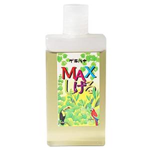 エアプランツ 肥料の商品一覧 通販 Yahoo ショッピング