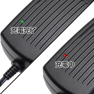 DC12V 専用充電器(インジケーター有りタイ...の詳細画像1