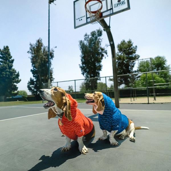 CHAMPION FRESH PAWZ LOGO REPEAT HOODIE チャンピオン コラボ ...