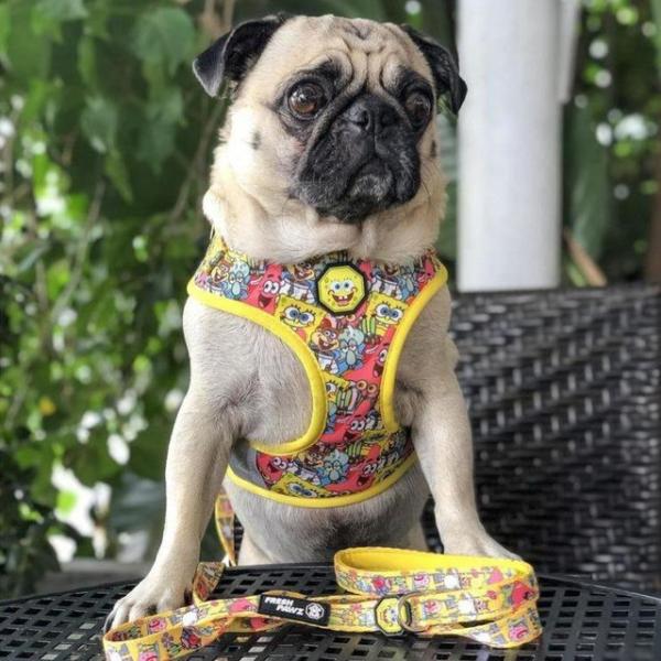 SPONGEBOB FRESH PAWZ MESH HARNESS スポンジボブ コラボ ハーネス ...