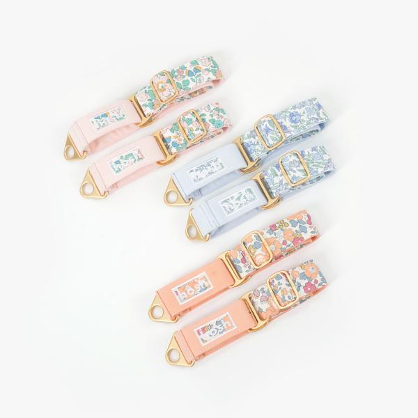 hosh イタグレ ミニピン フラワー柄 花柄 チョーク型 ドッグカラー 犬 首輪 インポート ドッ...