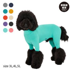 マリリンスキンタイトスーツ５L MANDARINE BROTHERS（マンダリンブラザーズ） Mandarine brothers