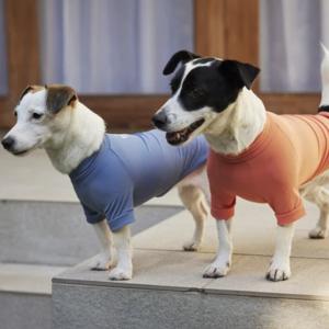 MANDARINE BROTHERS 【XS-Sサイズ】 マンダリンブラザーズ