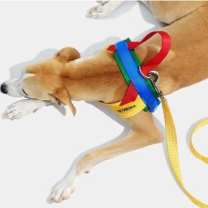 VETRESKA ベトレスカ クロマ ペット ハーネス リード セット 犬 猫 ペット用品 デザイナーズ 海外取寄 CHROMA PET HARNESS&LEASH SET