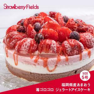 送料無料　福岡県産あまおう苺ゴロゴロジェラートアイスケーキ いちご フルーツ デザート 誕生日 ストロベリーフィールズ 〔あまおう苺ジェラート〕