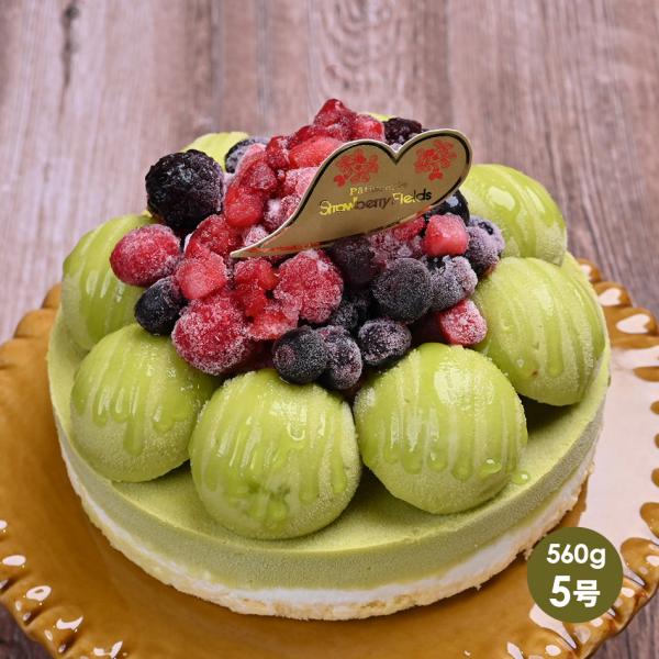 極上ピスタチオジェラートアイスケーキ 5号 15cm径 贈答品 ギフト プレゼント 誕生日 ケーキ ...