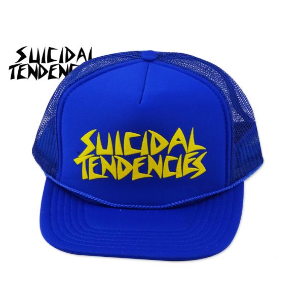 SUICIDAL TENDENCIES スーサイダル・テンデンシーズ FLIP THE TRUE C...