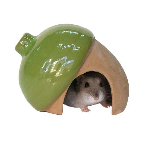 三晃商会 素焼きハウス どんぐり ハムスター用 ケージ ハウス サークル 隠れ家 陶器製 49762...