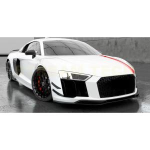 AUDI アウディ 4S R8 後期用 GT RWDタイプ ドライカーボン