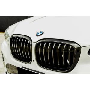 BMW G01 X3 G02 X4 前期用 パフォーマンスタイプ 艶有ブラック キドニーグリル セン...
