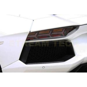 Lamborghini ランボルギーニ アヴェンタドール LP700用 純正タイプ リアバンパーグリ...