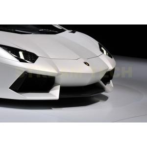 Lamborghini ランボルギーニ アヴェンタドール LP700用 純正タイプ フロントバンパーグリル センターグリル メッシュグリル ラジエターグリル Aventador｜streamtech