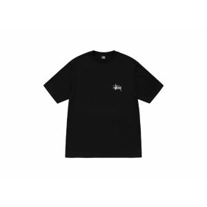 23SS Stussy Plush Tee B...の詳細画像1