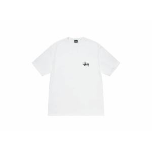 23SS Stussy Plush Tee W...の詳細画像1