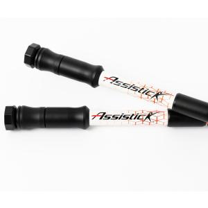 アシスティック(Assistick)の詳細画像3