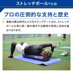 ストレッチポールMX(ライトグリーン)株式会社LPNの詳細画像3