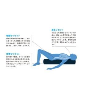ストレッチポールMX(アイボリー)株式会社LPNの詳細画像3