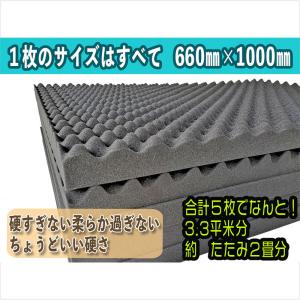 ESP STARの専用ハードケース unliminet_20190628001