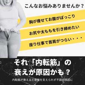 【SALE!】内転筋トレーナー トレーニング ...の詳細画像2