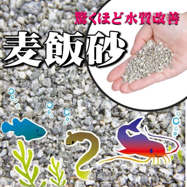 麦飯砂 洗って入れるだけでぴったり 30cm水槽で3cm/45cm水槽で2cmにぴったり敷ける アク...