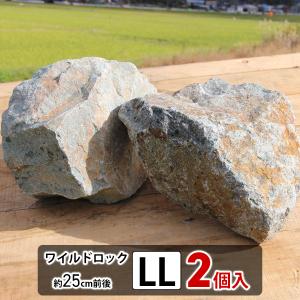 庭石 クラッシュロック ワイルドロック2Lサイズ ロックガーデン