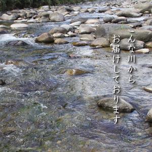 玉砂利 川玉砂利 中粒 10〜20mm 20k...の詳細画像2