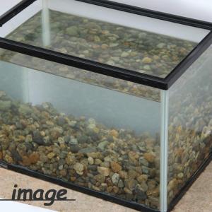 アクアリウム 水槽用底砂 国産 川玉砂利 10...の詳細画像2