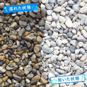 アクアリウム 水槽用底砂 国産 川玉砂利 10...の詳細画像4