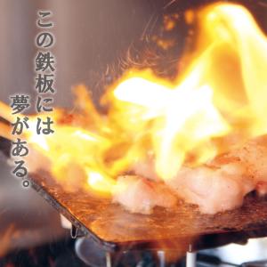 値下げ 売り切り 鉄板 焼き肉プレート キャンプ アウトドア