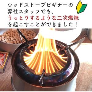 お試しジャスト量 ペレットストーブ 燃料 16...の詳細画像2