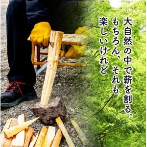 お試しジャスト量 ペレットストーブ 燃料 16...の詳細画像4