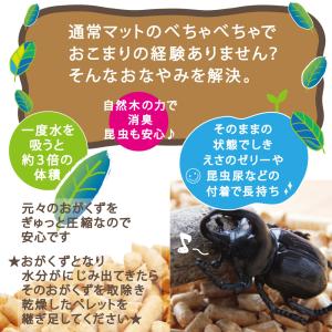カブトムシ ペレットマット 自然木 1000円...の詳細画像1