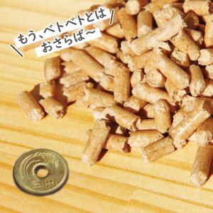 カブトムシ ペレットマット 自然木 1000円...の詳細画像3