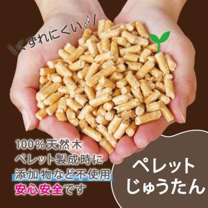 カブトムシ ペレットマット 自然木 1000円...の詳細画像4