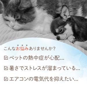 ひんやりマット 40×40cm 冷たい 洗える...の詳細画像2