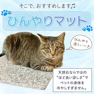 ひんやりマット 40×40cm 冷たい 洗える...の詳細画像3