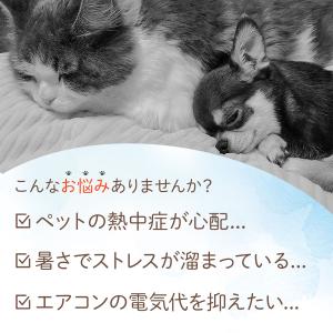 ひんやりマット 40×40cm 2枚入 冷たい...の詳細画像2