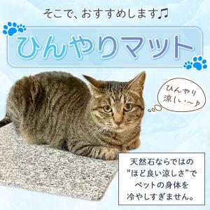 ひんやりマット 40×40cm 2枚入 冷たい...の詳細画像3