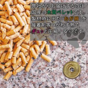 猫砂 お試し 猫の砂 1000円 ポッキリ 送...の詳細画像1